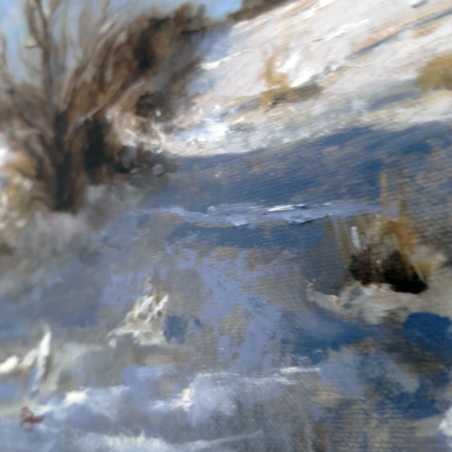 A Winter Walk I