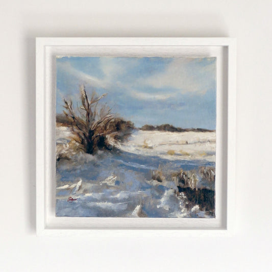 A Winter Walk I